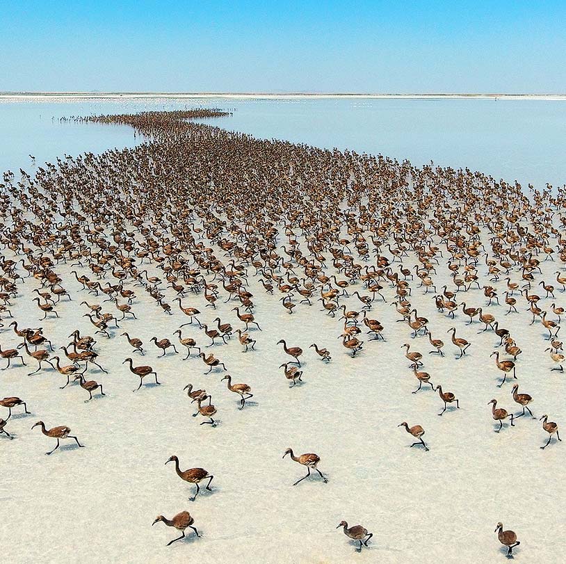 Lago Salato (Tuz Gölü)
